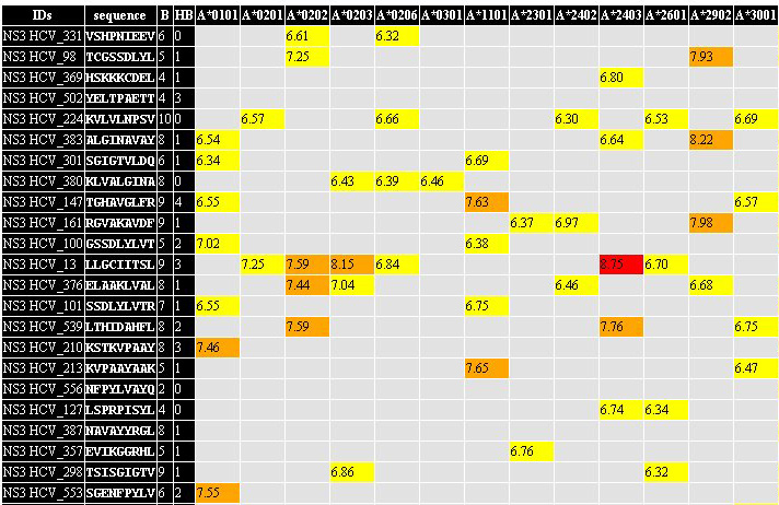 Epitope summary